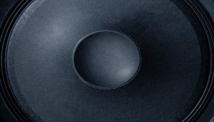subwoofer cone close up