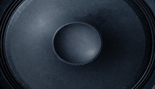 subwoofer cone close up