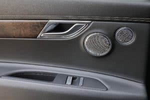 Car Door Speaker
