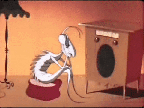 Listening to the speaker